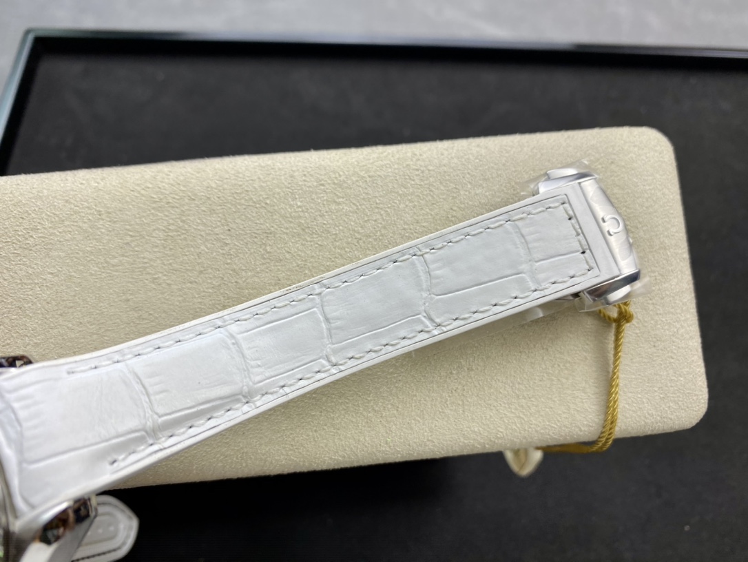 Omega Seamaster Planet Ocean